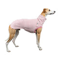 Bild in Galerie-Betrachter laden, COTTON SHIRT Windhund Pink Stripes

