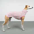 Bild in Galerie-Betrachter laden, COTTON SHIRT Windhund Pink Stripes
