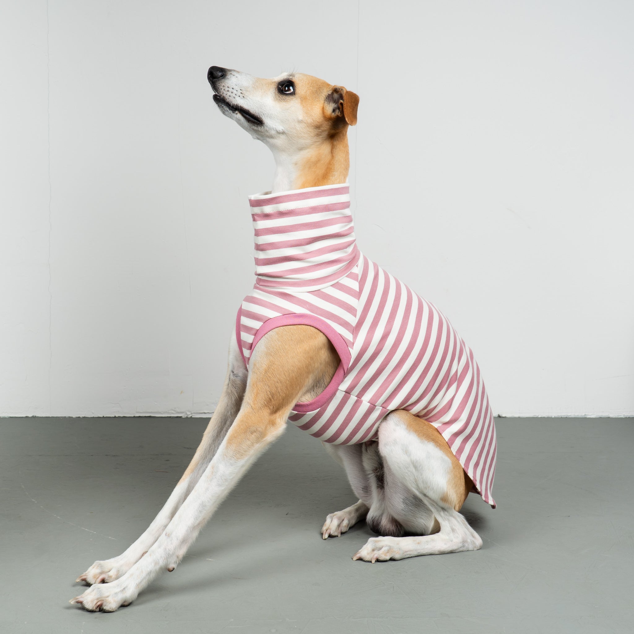 COTTON SHIRT Windhund Pink Stripes