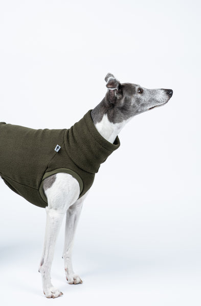 LONG SHIRT 2.0 für Whippet, Windsprite, Podenco, Galgo in Dark Olive