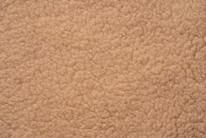 TEDDY SHIRT Iggy Camel