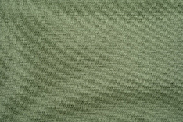 SWEAT SHIRT 2.0 für Whippet, Windsprite, Podenco, Galgo in Matcha