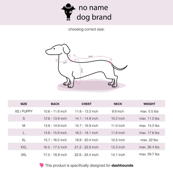 Dachshund size chart