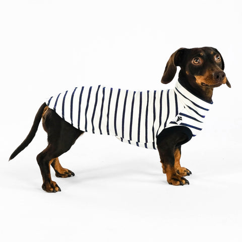 Dackel Cotton Shirt Stripes White