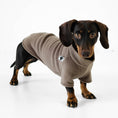 Bild in Galerie-Betrachter laden, Dackel Pullover Walnut
