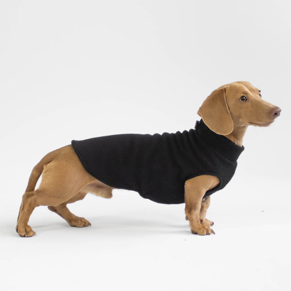 Fleece Long Shirt Dachshund