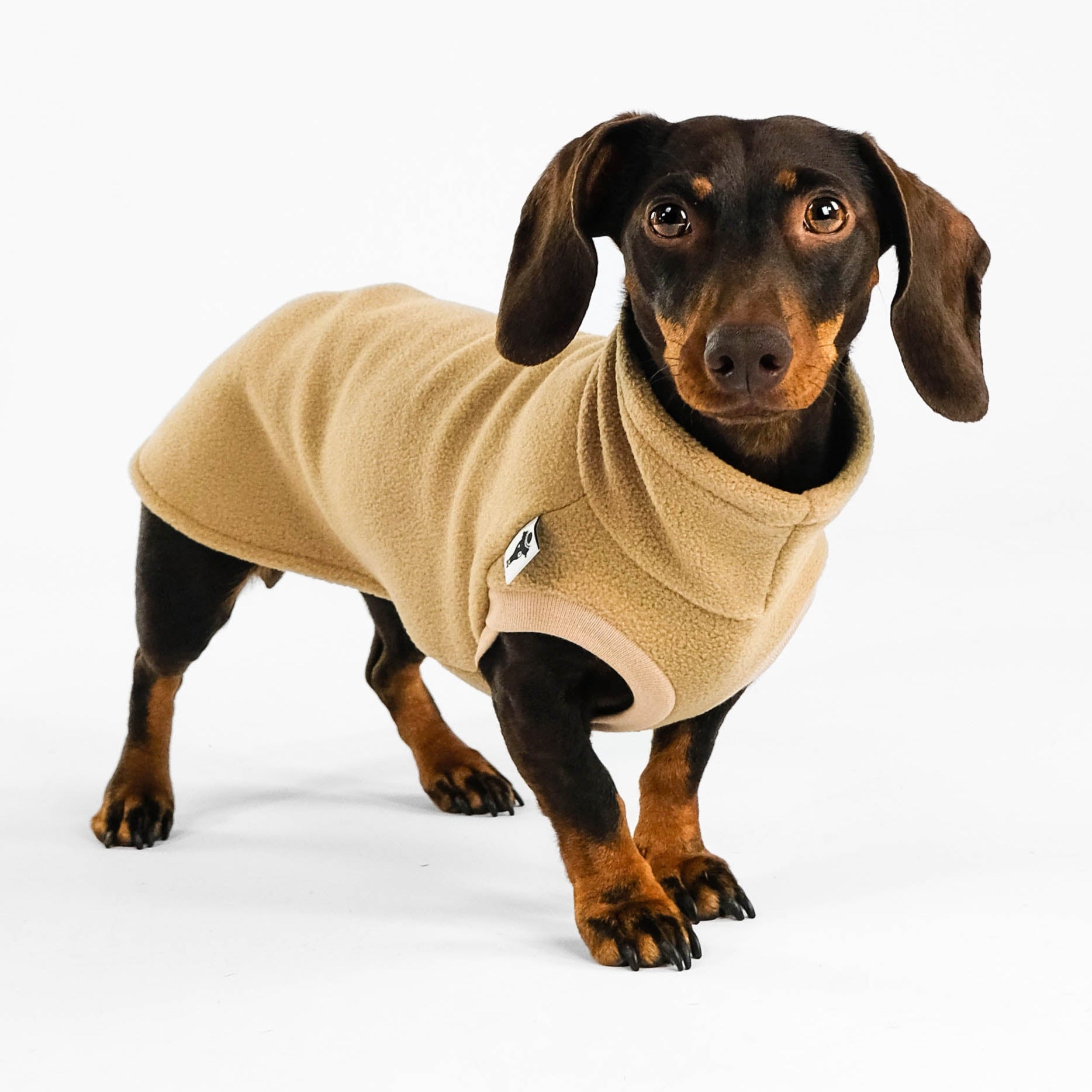 Dackel Fleece Long Shirt 2.0 in Camel