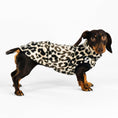 Bild in Galerie-Betrachter laden, Dackel Fleece Long Shirt 2.0 in Leo

