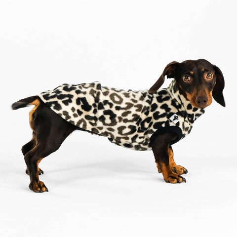 Dackel Fleece Long Shirt 2.0 in Leo