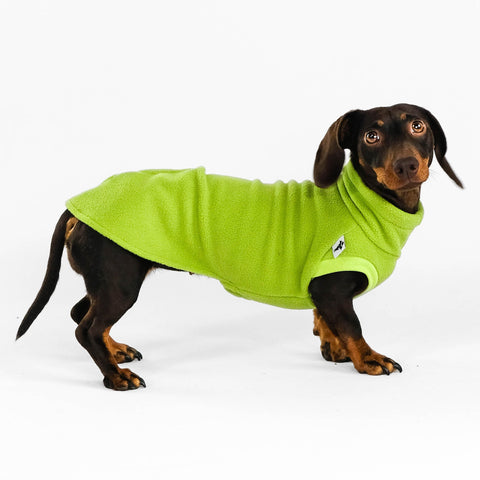 Dackel Fleece Long Shirt 2.0 in Light Green