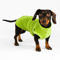 Bild in Galerie-Betrachter laden, Dackel Fleece Long Shirt 2.0 Light Green
