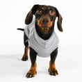 Bild in Galerie-Betrachter laden, Dackel Fleece Long Shirt Light Gray
