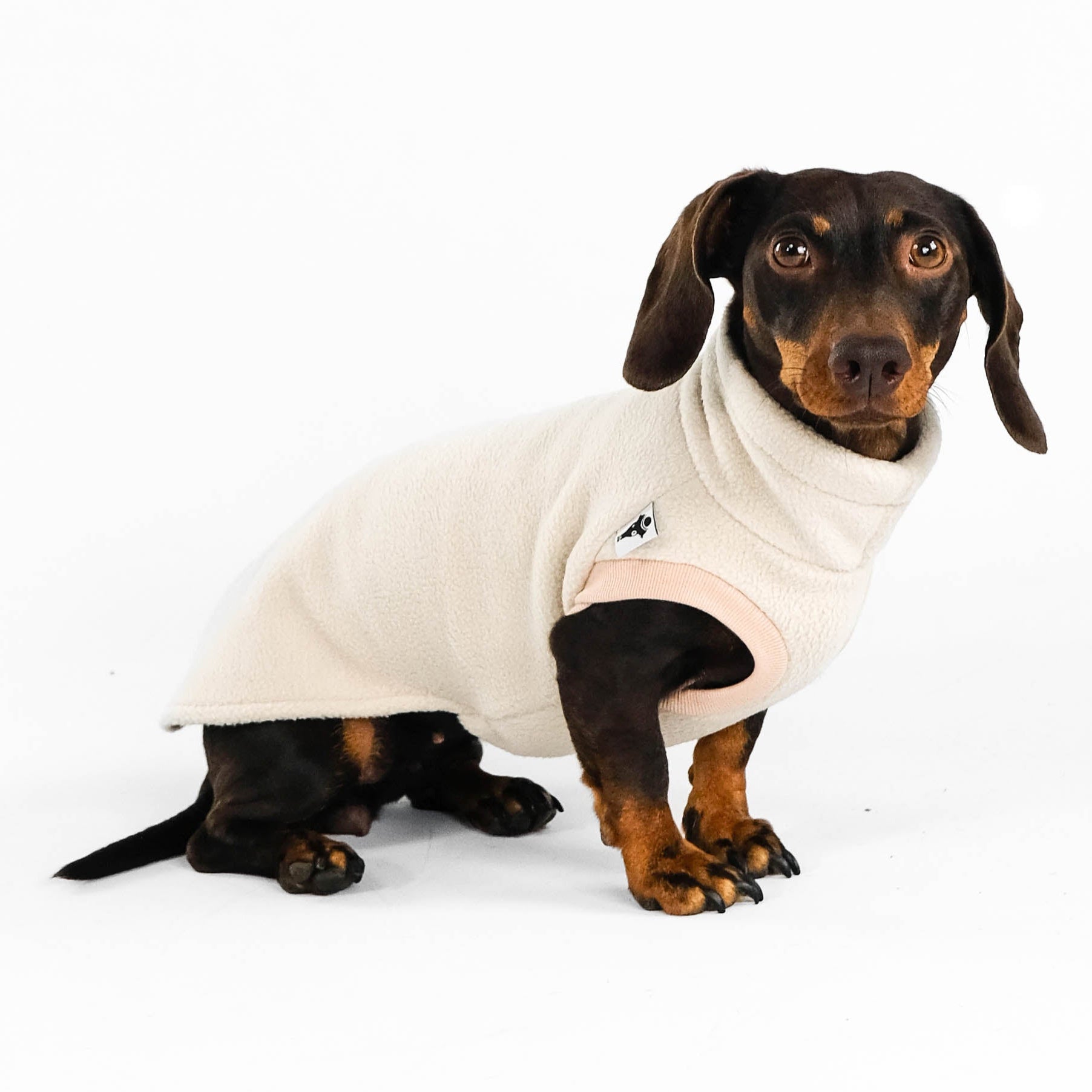 Dackel Fleece Long Shirt in Sand 2.0