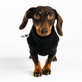 Bild in Galerie-Betrachter laden, Dackel Fleece Long Shirt 2.0 in Schwarz
