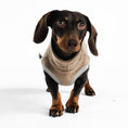 Bild in Galerie-Betrachter laden, Dackel Fleece Long Shirt in Walnut
