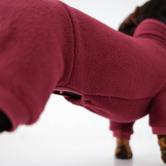 Dackel Pullover