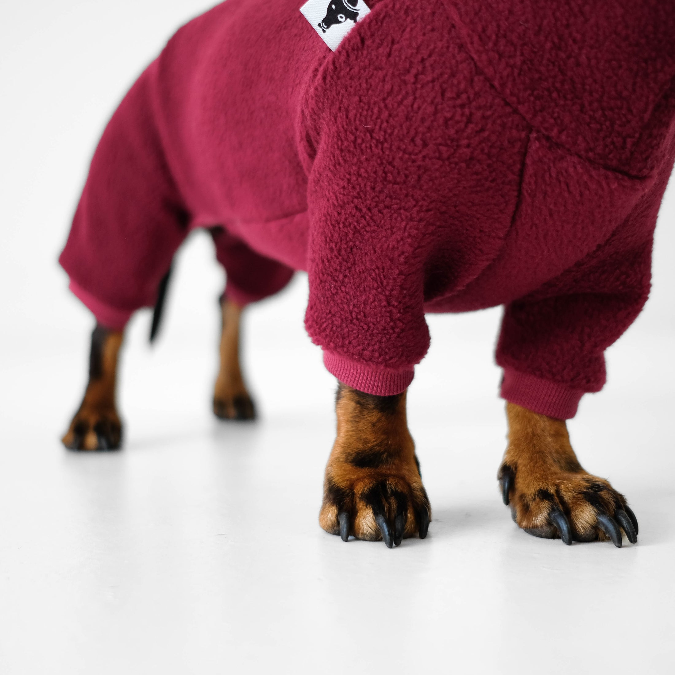 Hundepullover für Dackel