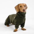 Bild in Galerie-Betrachter laden, Dachshund Onesie Dark Olive
