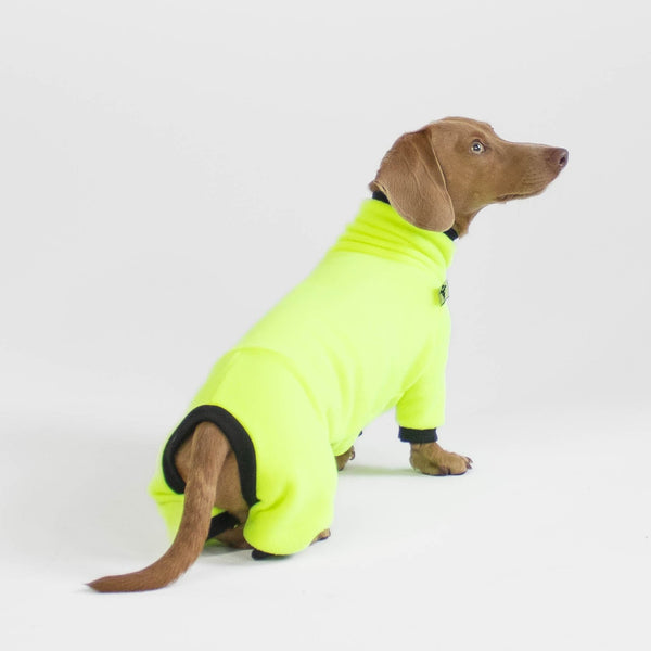 Hundepullover für Dackel in Neon Yellow