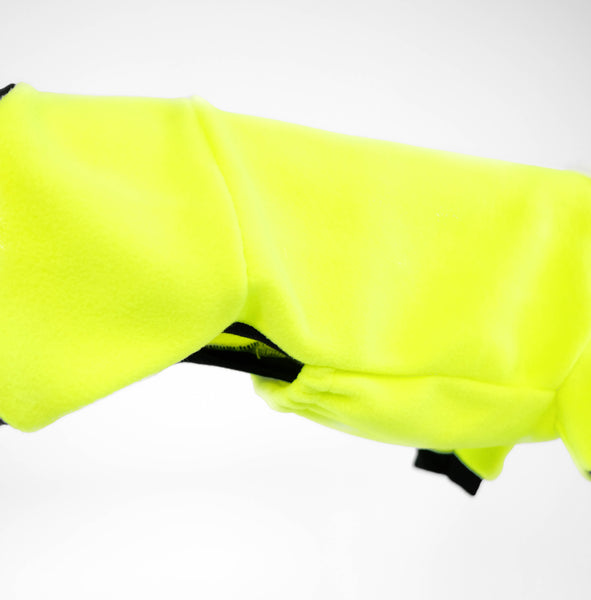 Dachshund Jumpsuit Neon