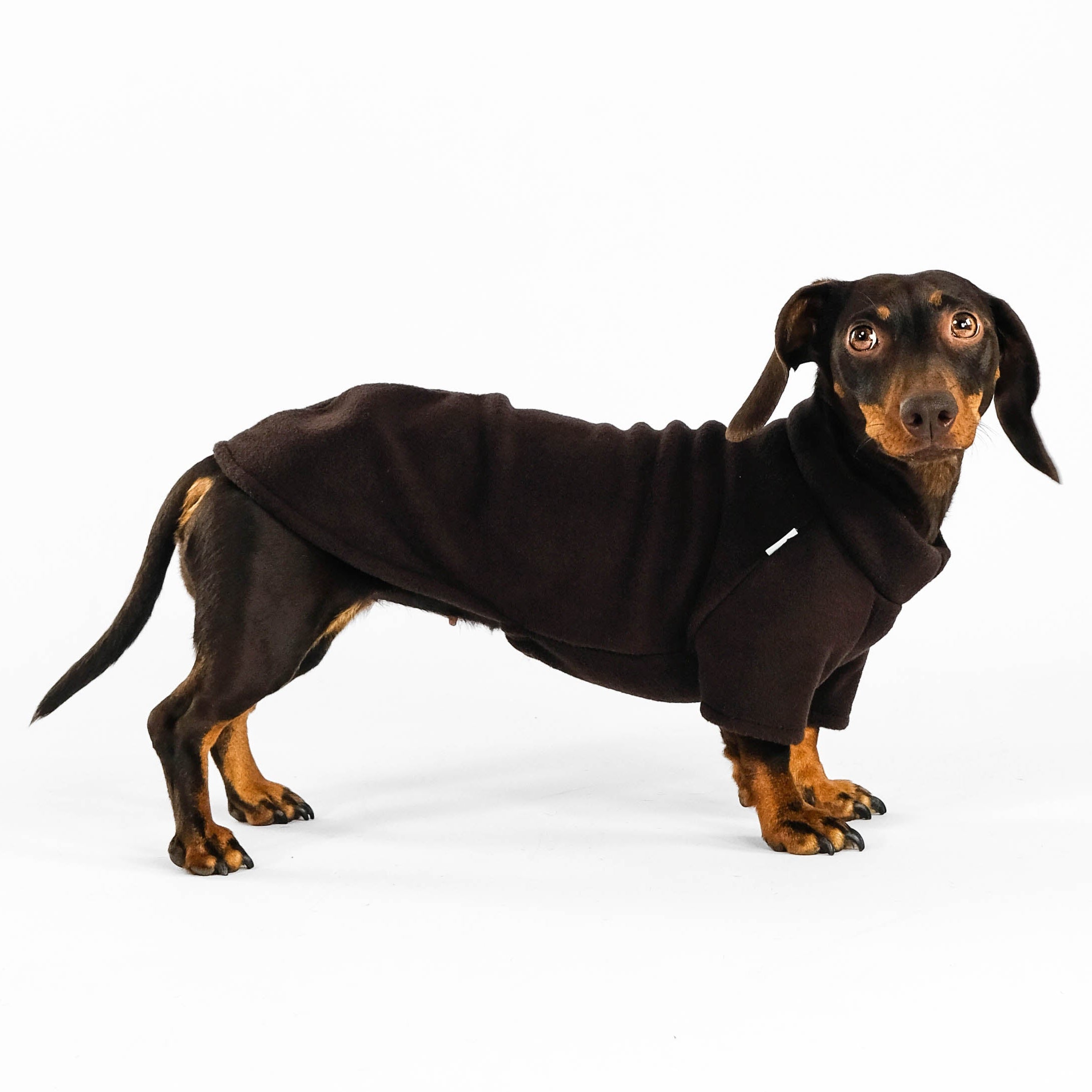 Dackel Fleece Pullover Brown