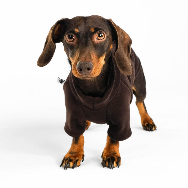 Dackel Fleece Pullover in Brown