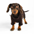 Bild in Galerie-Betrachter laden, Dackel Fleece Pullover Brown

