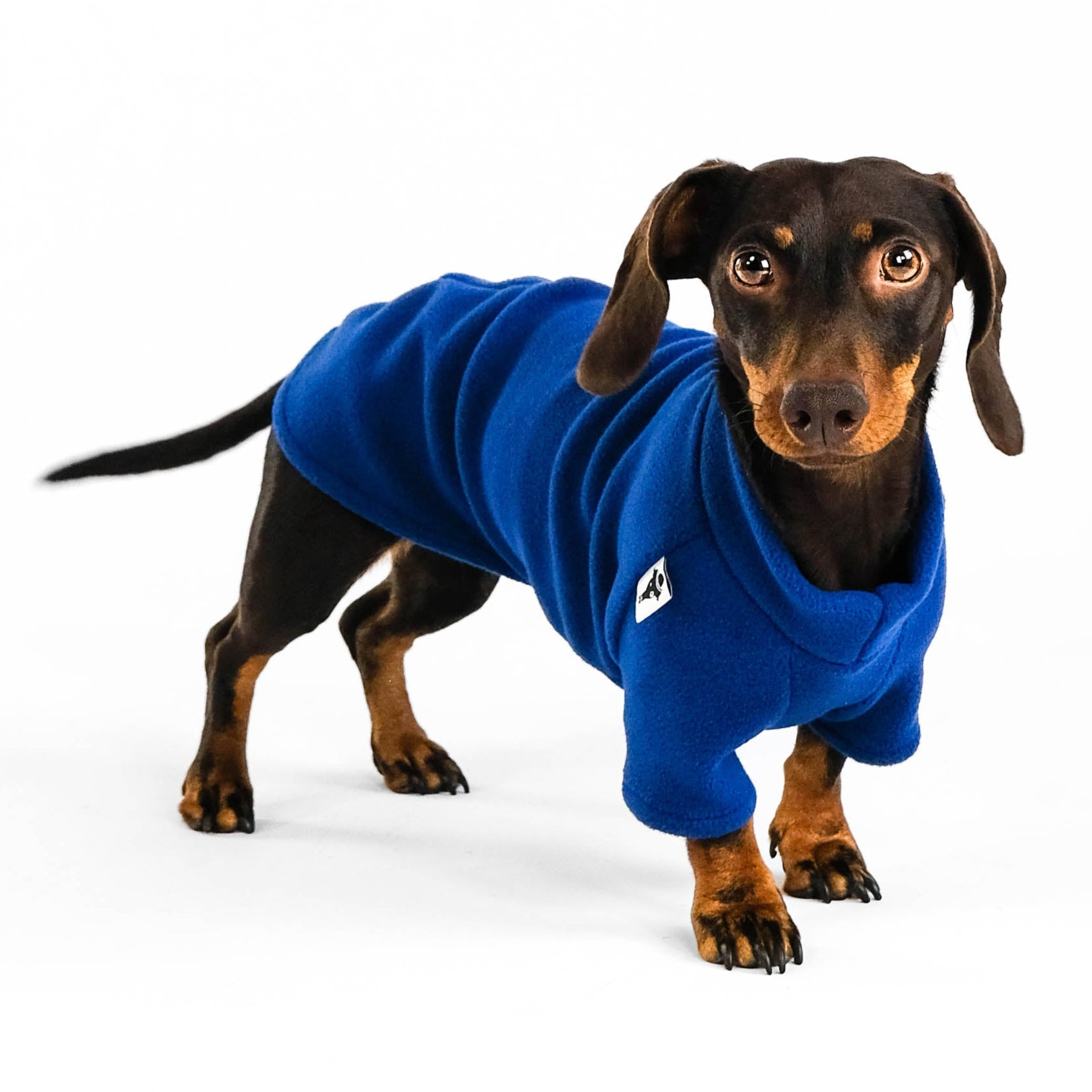 Dackel Fleece Pullover Navy