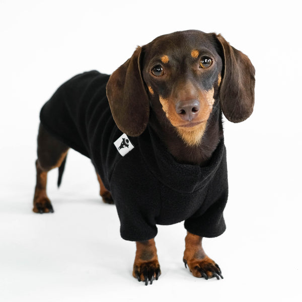 Dachshund Jumper