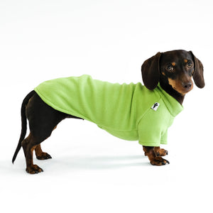 Dachshund Jumper