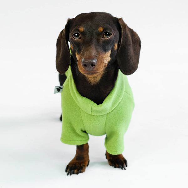 Dachshund Jumper