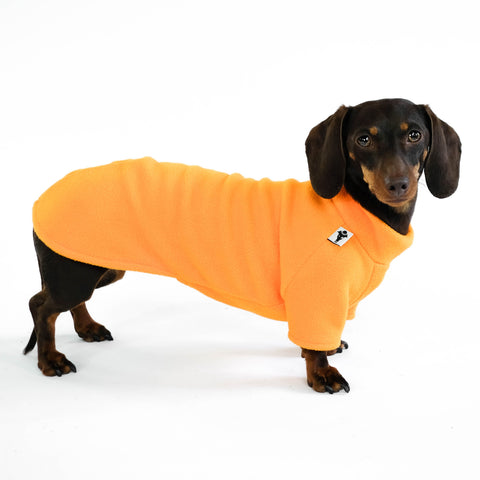 Dachshund Jumper