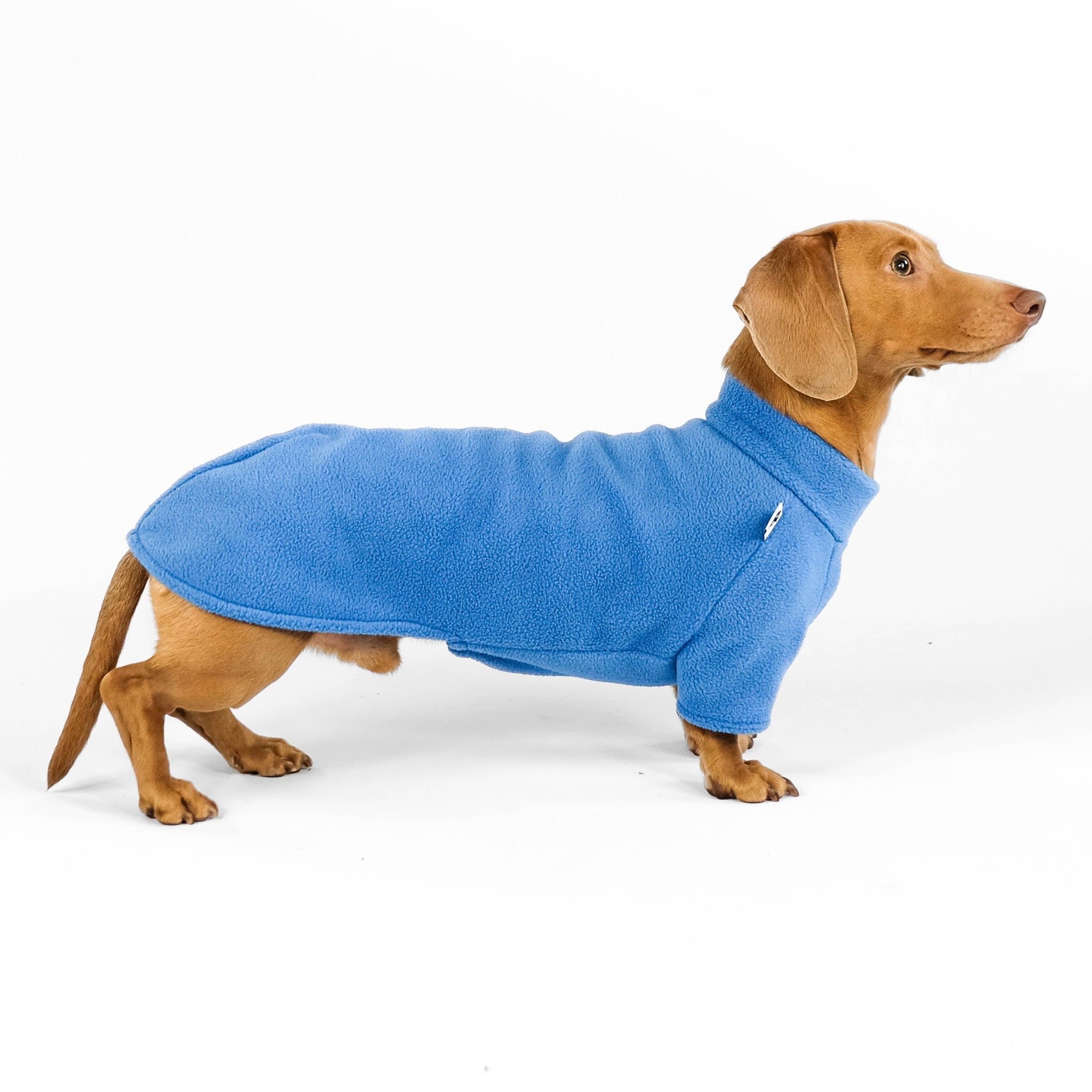 Dachshund Polar Fleece Sky Blue