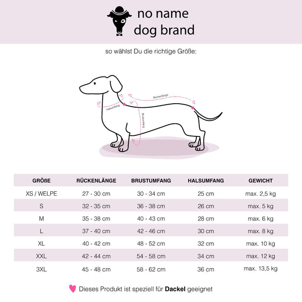Dachshund Overall size chart
