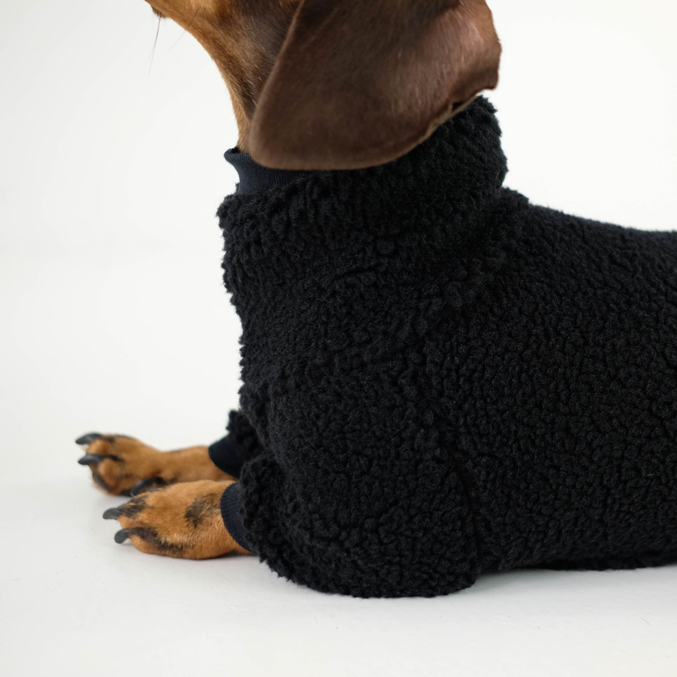 Dachshund Overall Black