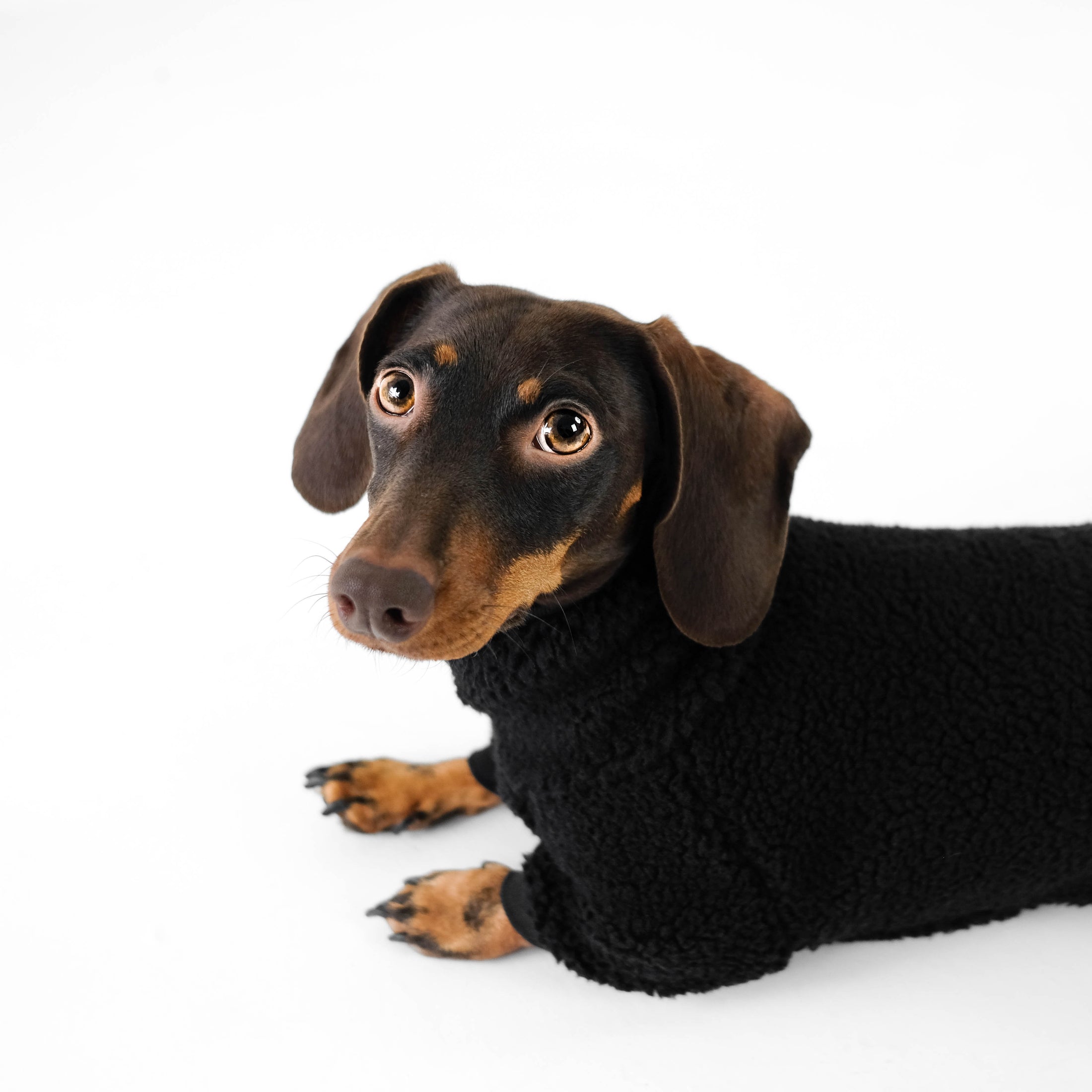 Dachshund Overall