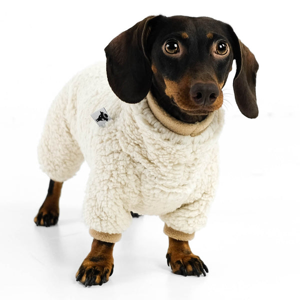 winter jumpsuit dachshund