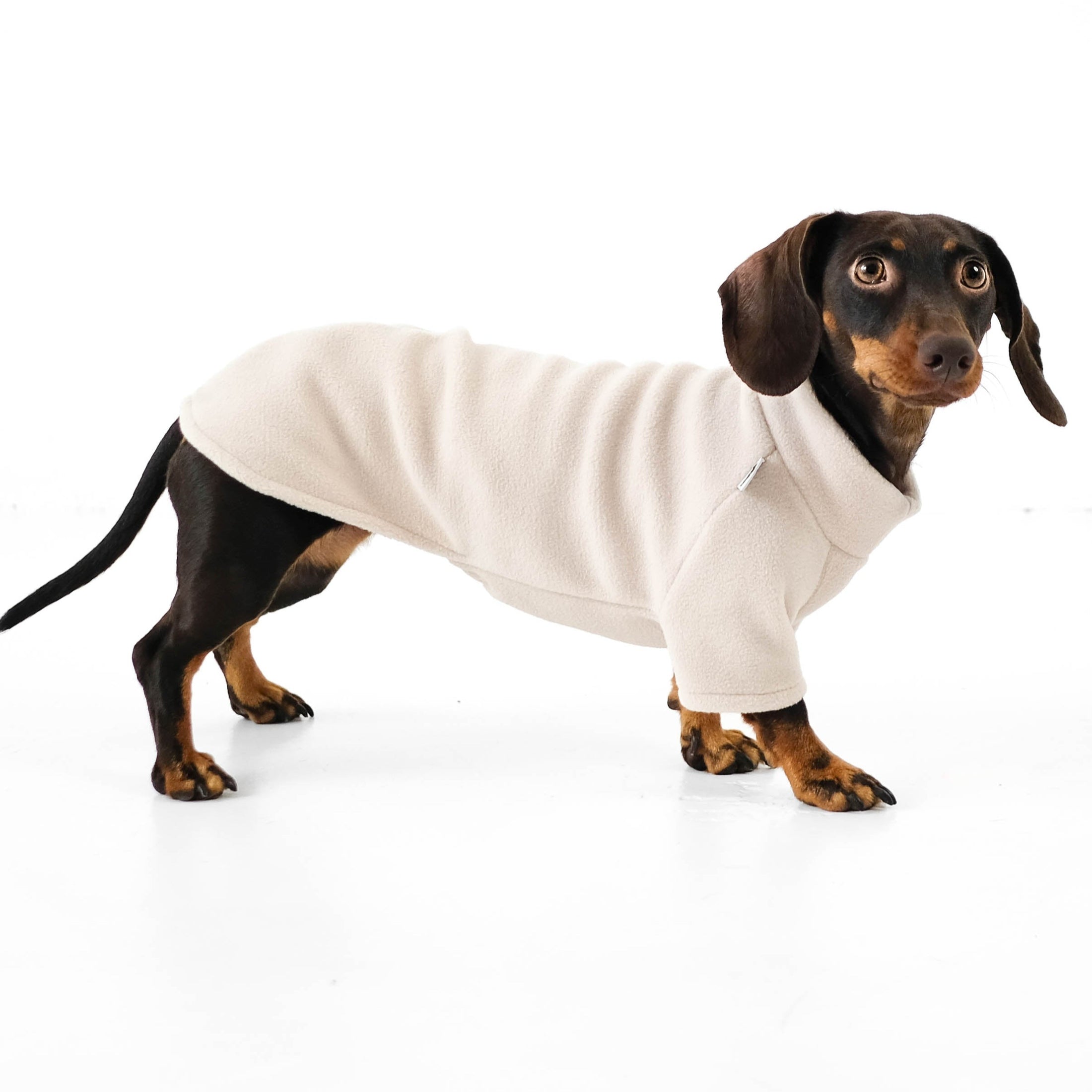 Hundepullover für Dackel