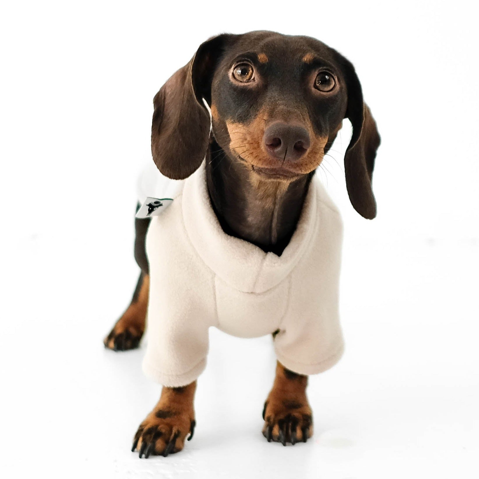 Dackel Pullover Sand