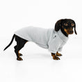 Bild in Galerie-Betrachter laden, Dackel Pullover Light Grey
