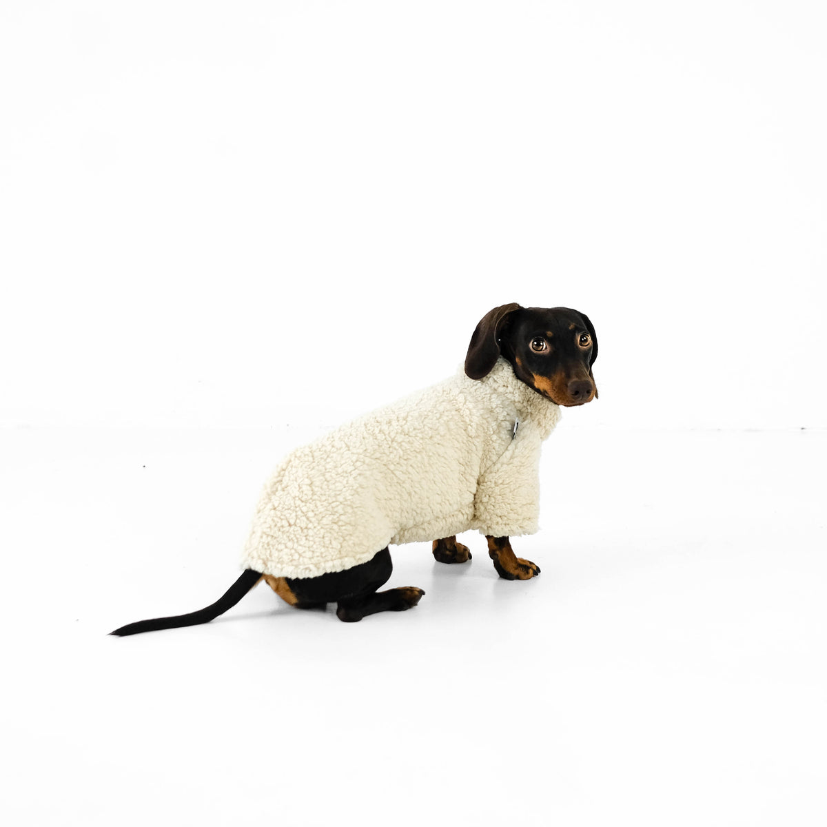 Winter Pullover Dackel OUTLET Beige