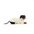 Bild in Galerie-Betrachter laden, Winter Pullover Dackel OUTLET Beige

