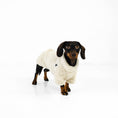Bild in Galerie-Betrachter laden, Winter Pullover Dackel OUTLET Beige
