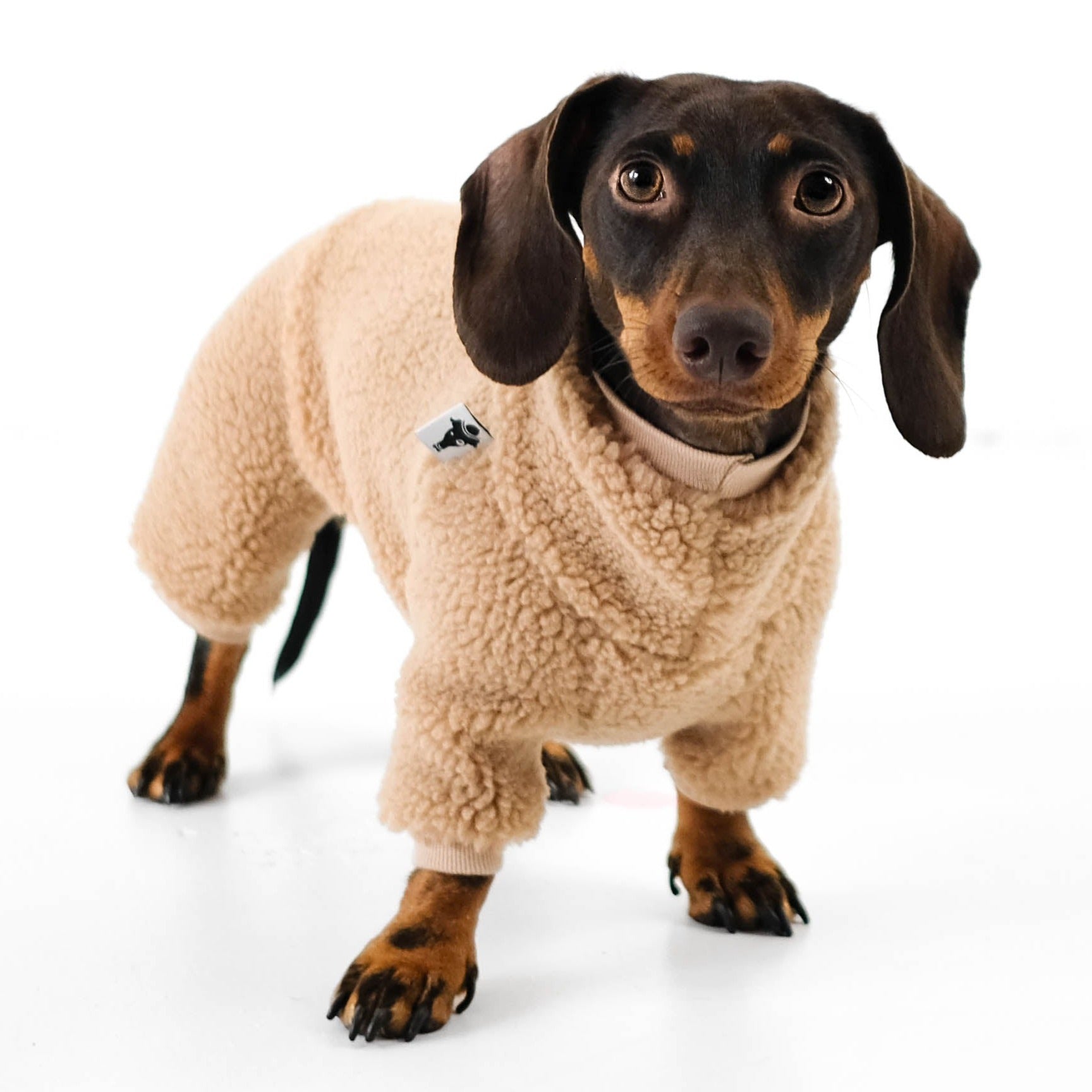 Dackel Overall Teddy Beige