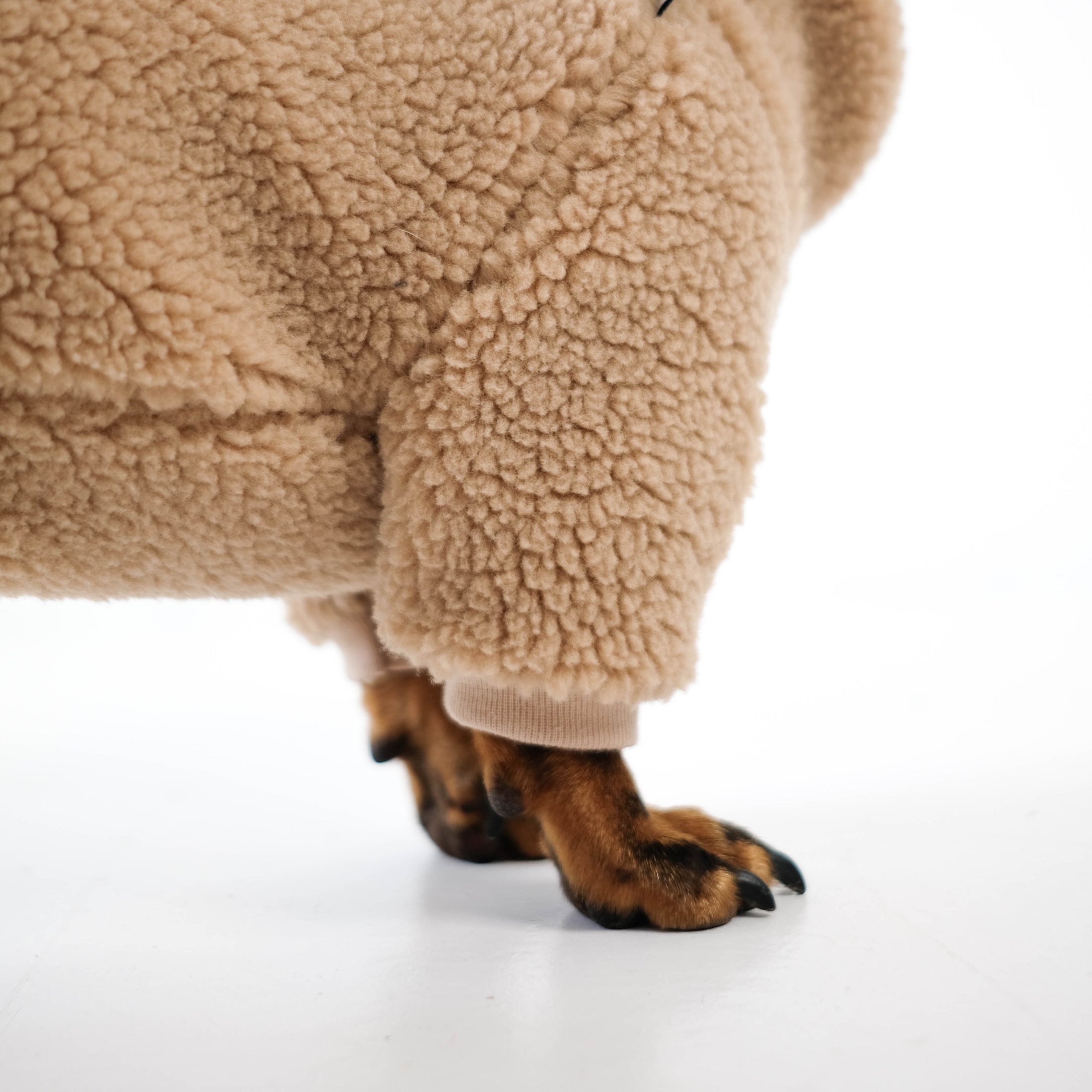 Dackel Teddy Pullover