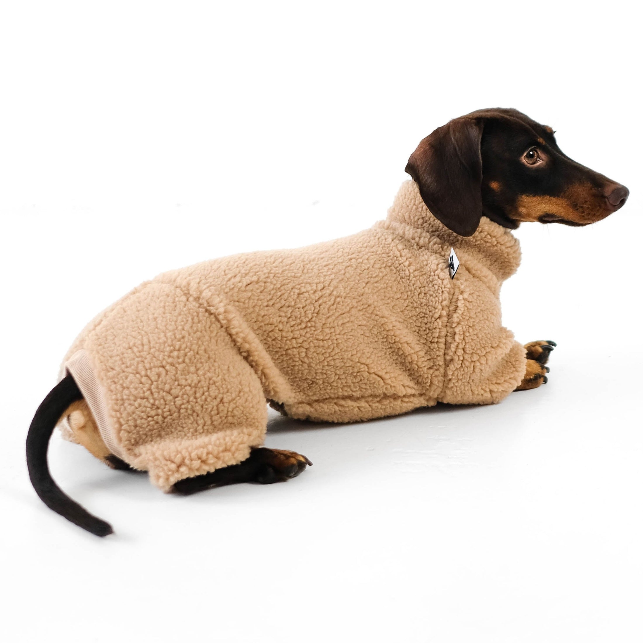 Teddy Jumper for Dachshund