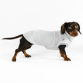 Bild in Galerie-Betrachter laden, Dackel Teddy Long Shirt 2.0 Light Gray
