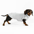 Bild in Galerie-Betrachter laden, Dackel Teddy Shirt 2.0 in Light Gray
