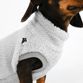 Bild in Galerie-Betrachter laden, Dackel Teddy Long Shirt 2.0 in Light Gray
