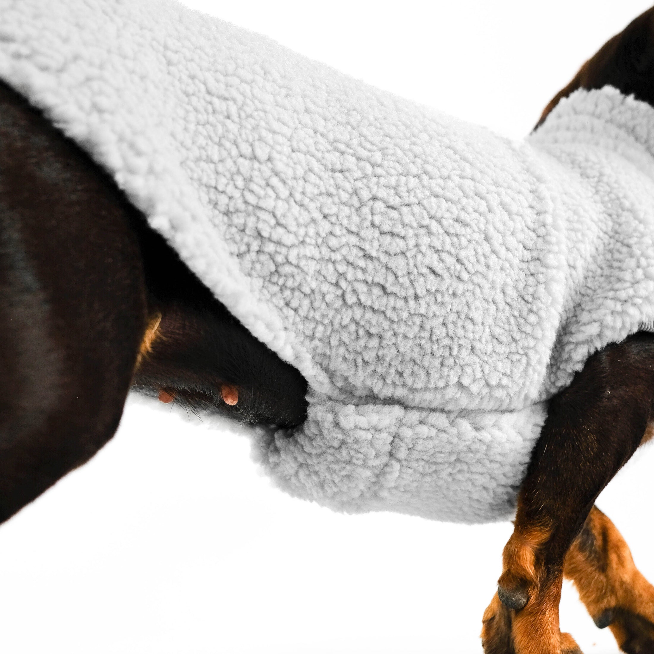 Dackel Teddy Shirt 2.0 in Light Gray